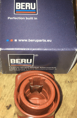 Beru-Shows-Step.gif