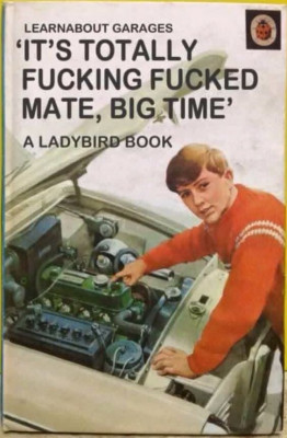 LadybirdSpoof.jpg